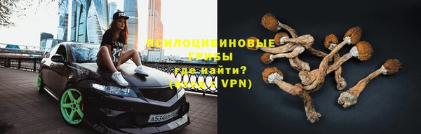 винт Богданович