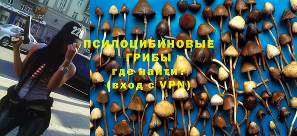 винт Богданович