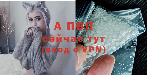 винт Богданович