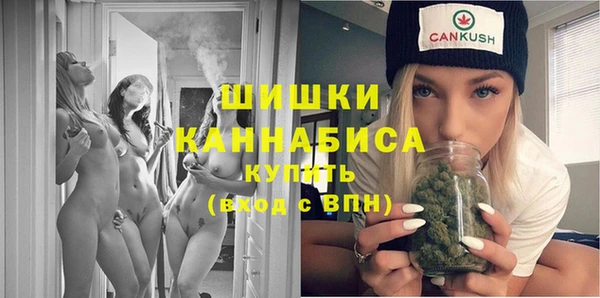 винт Богданович