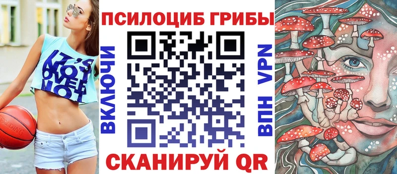Галлюциногенные грибы прущие грибы  Купить где  Коркино 