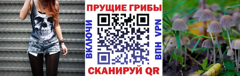 Псилоцибиновые грибы MAGIC MUSHROOMS Коркино